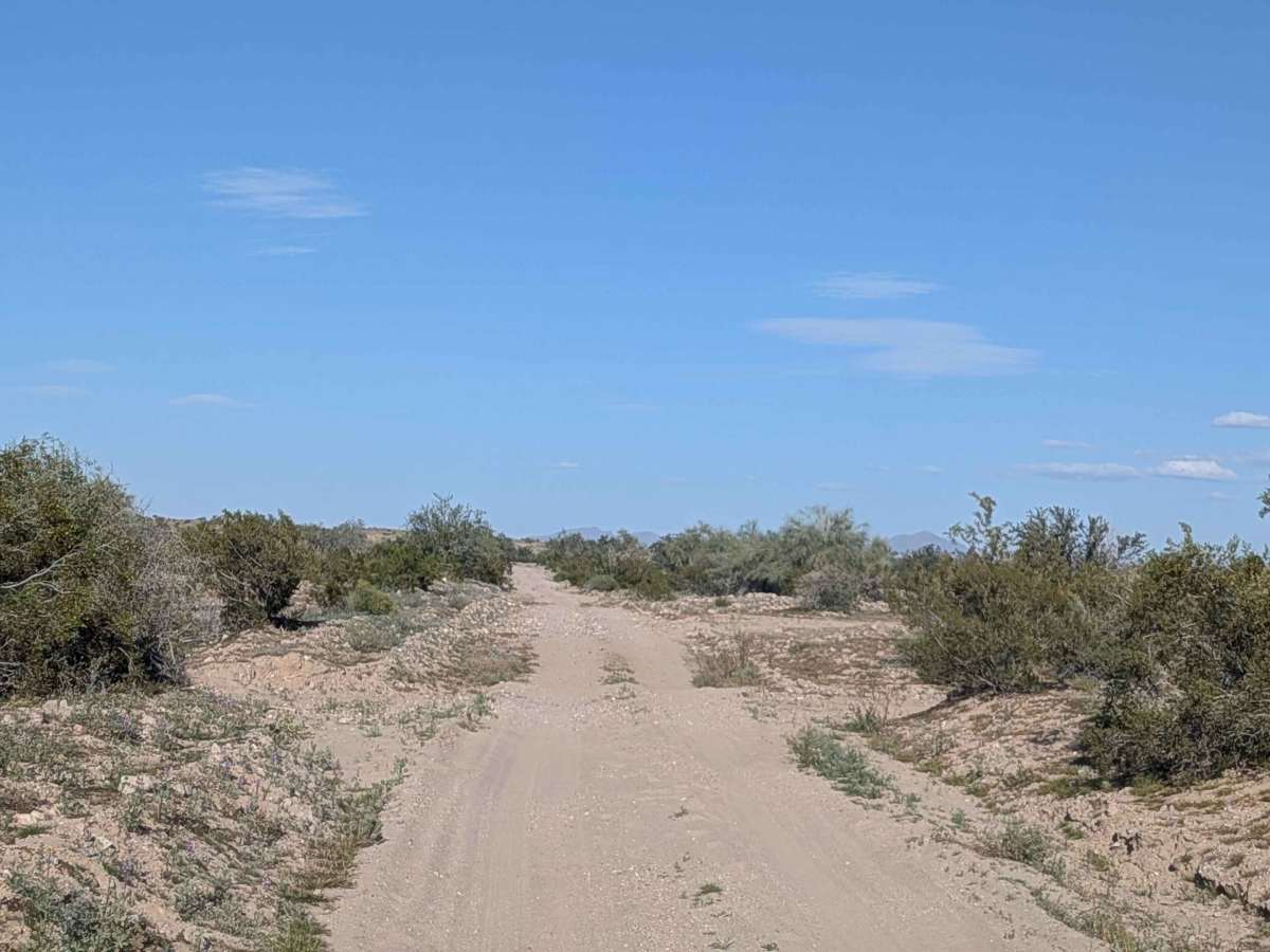 EC1146 photo 2