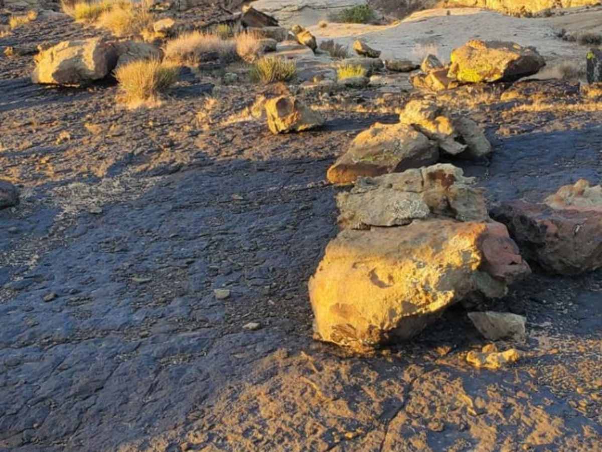Nothing to See Here Trail photo 4