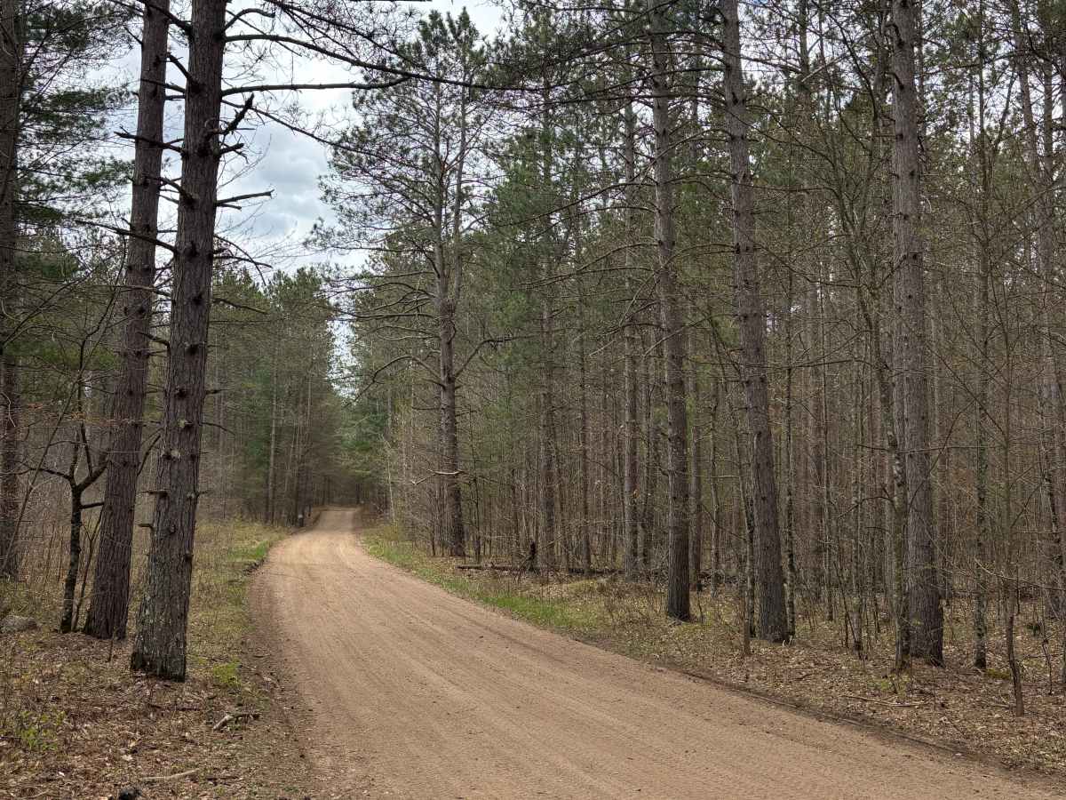 East Butler Rock Road - FS 5556 photo 6