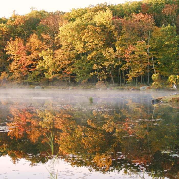 fog Near Stockbridge Mountain