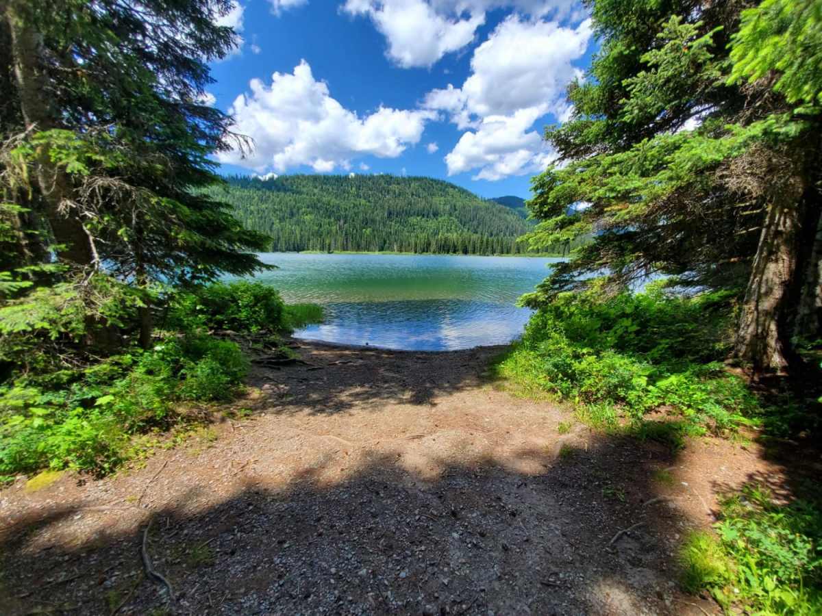 Red Meadow Creek photo 2