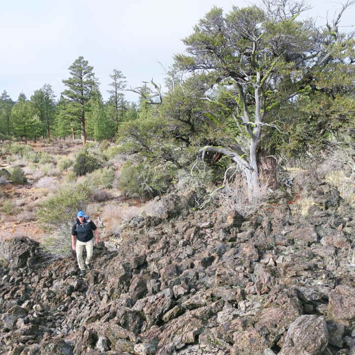 Near Big Nasty Trail + Hidden Valley
