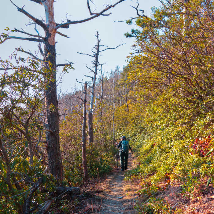 Near Bull Head Trail