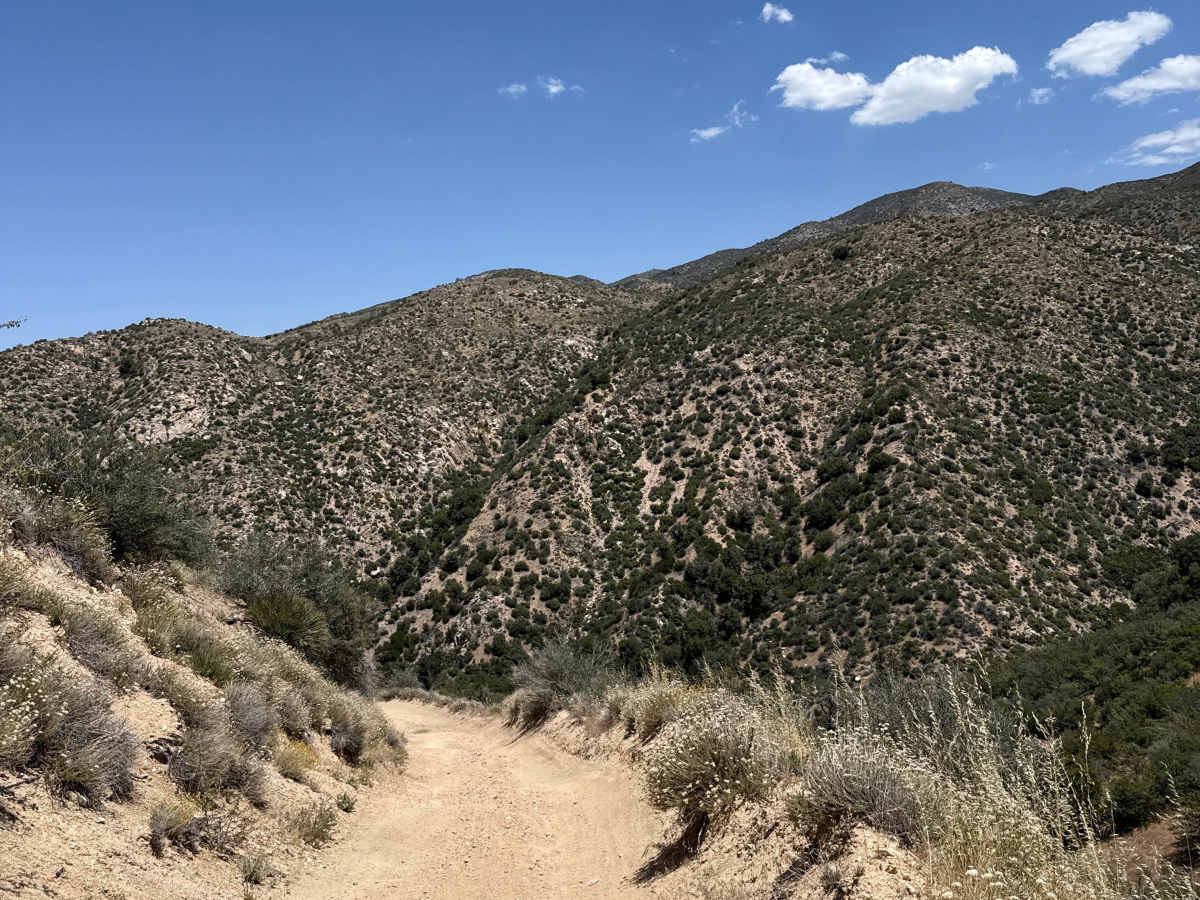 Devils Hole - FS 3N34D photo 3