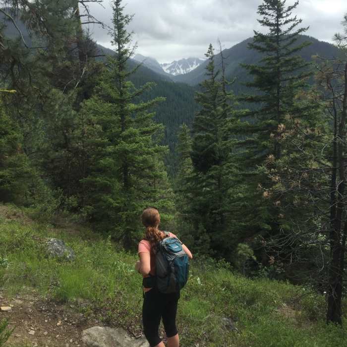 Near Chatter Creek Trail #1580