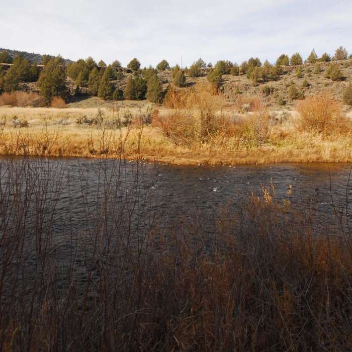 Near Donner und Blitzen River Trail Hike Near Donner und Blitzen River Trail Hike