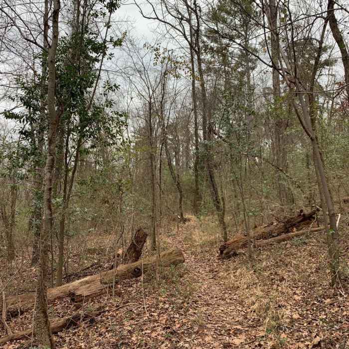 Along the Nature trail (Pink markers) Near Marian Harnach Nature Trail