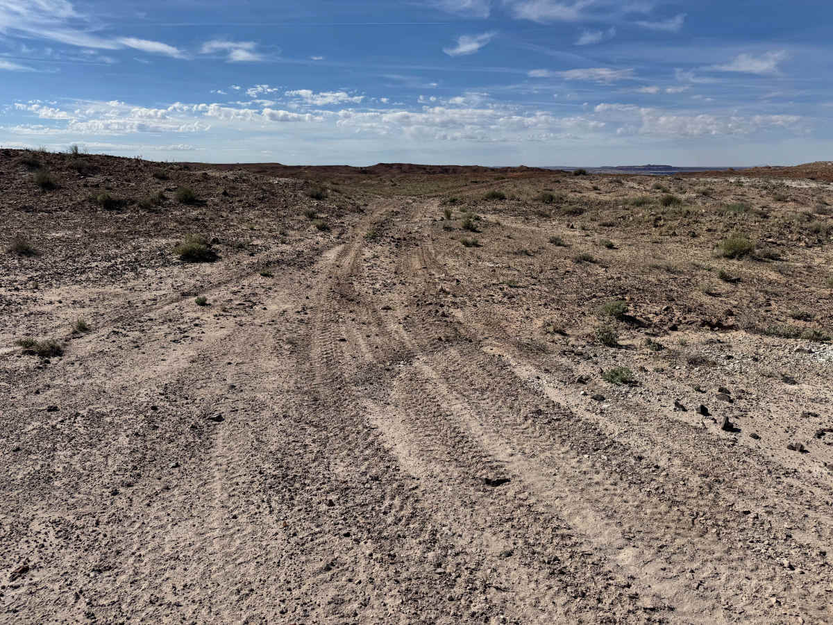 D2906 trail photo