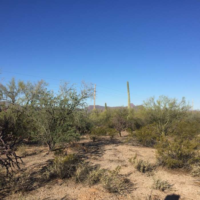 Near Arthur Pack Loop