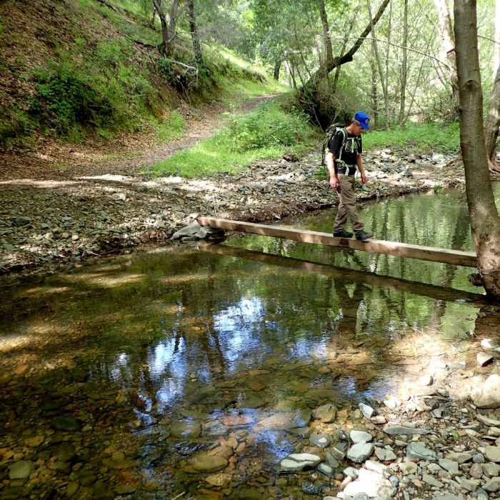 Your fiirst (or last) crossing of Moore Creek Near Moore Creek Trail