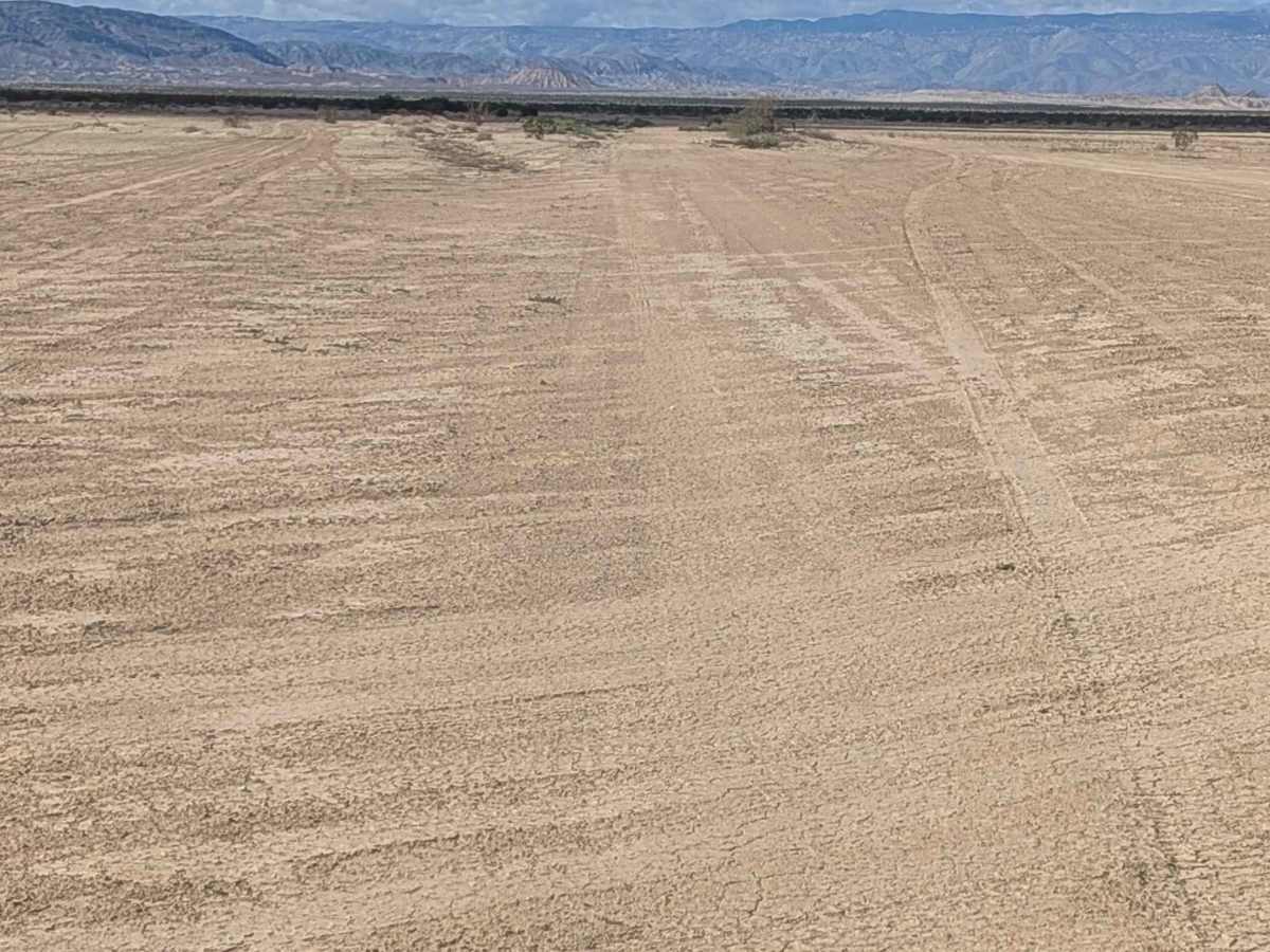 BLM 201 photo 2