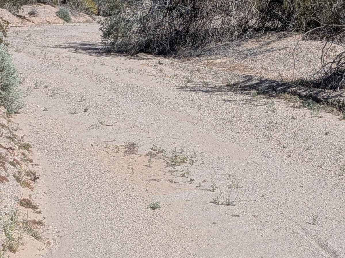 BLM 758 photo 3