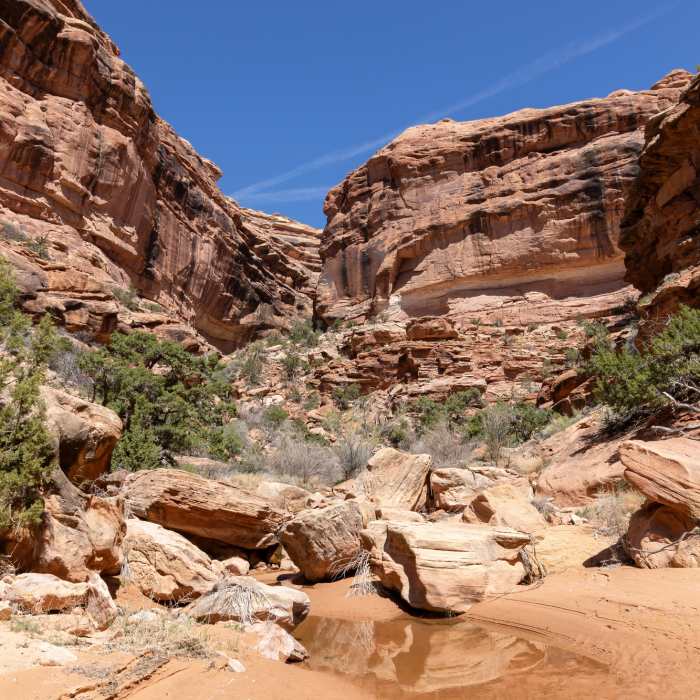 Occasional pools of water in Lower Slickhorn Canyon. Near Slickhorn Canyon