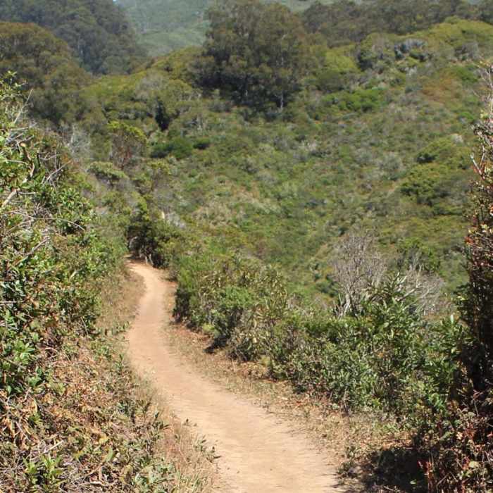 Near Brooks Creek Trail