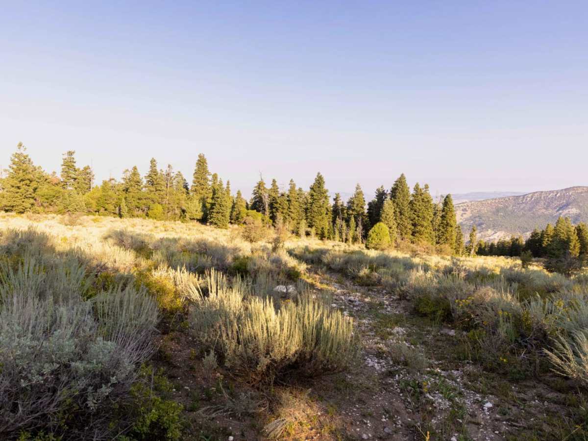 Beaver Creek Ridge photo 3
