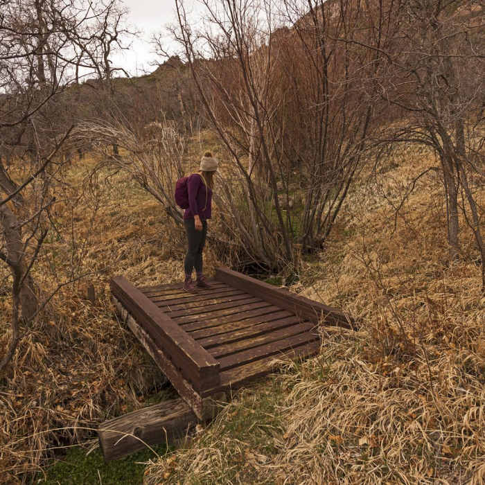 Near Oak Grove Trail - East