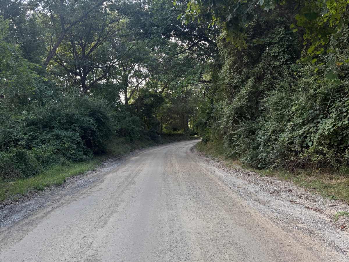 Kelly Trail photo 3