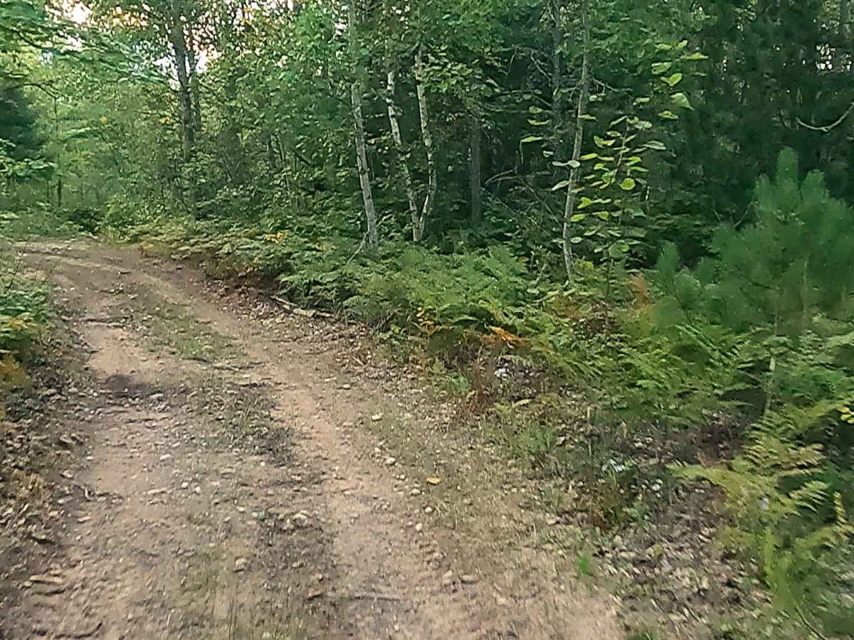Airfield - FS 3223 trail photo