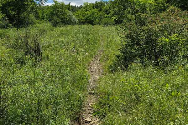Single Track TT