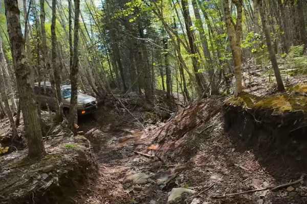 Pecks Creek Main Trail