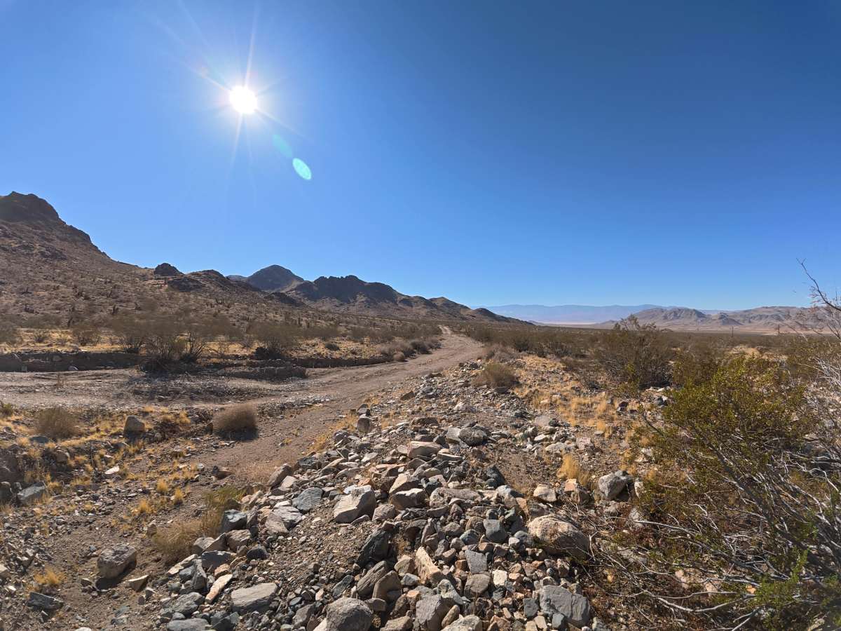 BLM 6604 photo 4