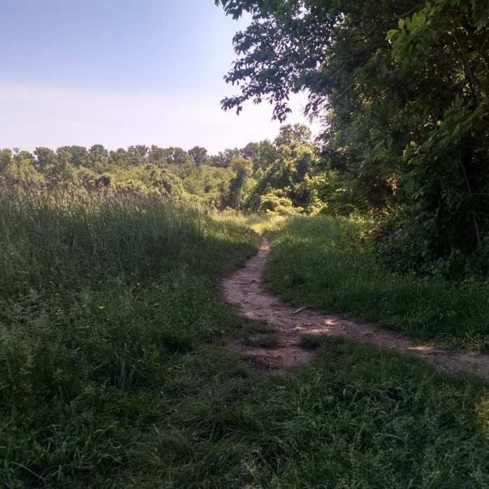 Whitely Farms singletrack. Near Whitely Farm Loop