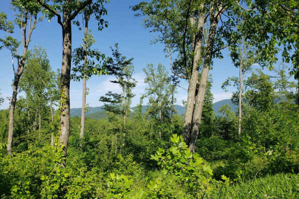 Parkers Gap