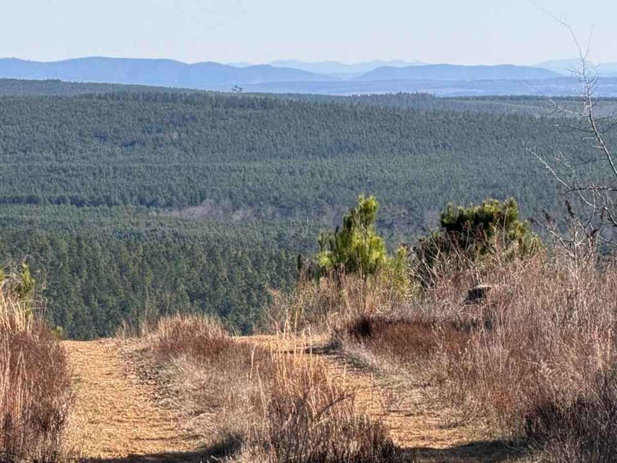 East Signal Mountain trail photo
