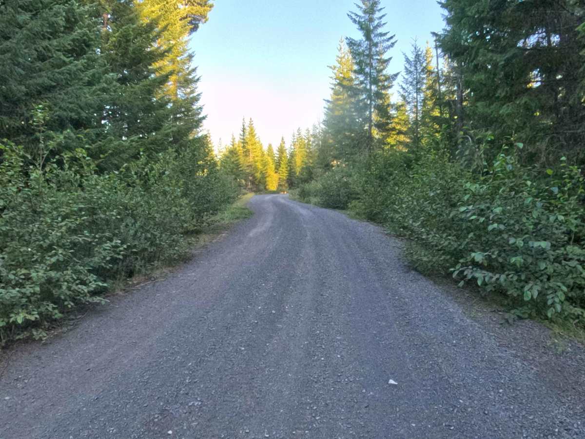 Straight Creek Road - FS 1162000  photo 6