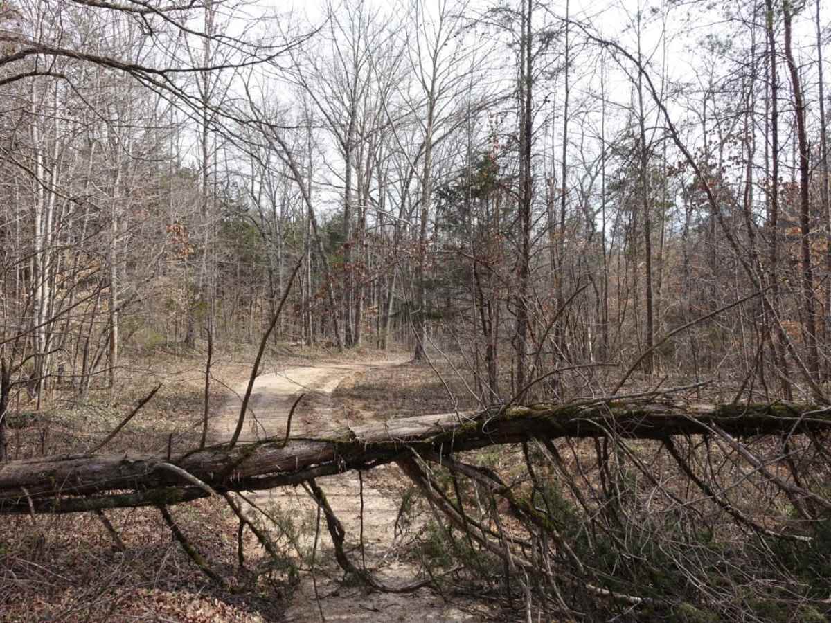 Lost Creek & Clear Creek photo 5