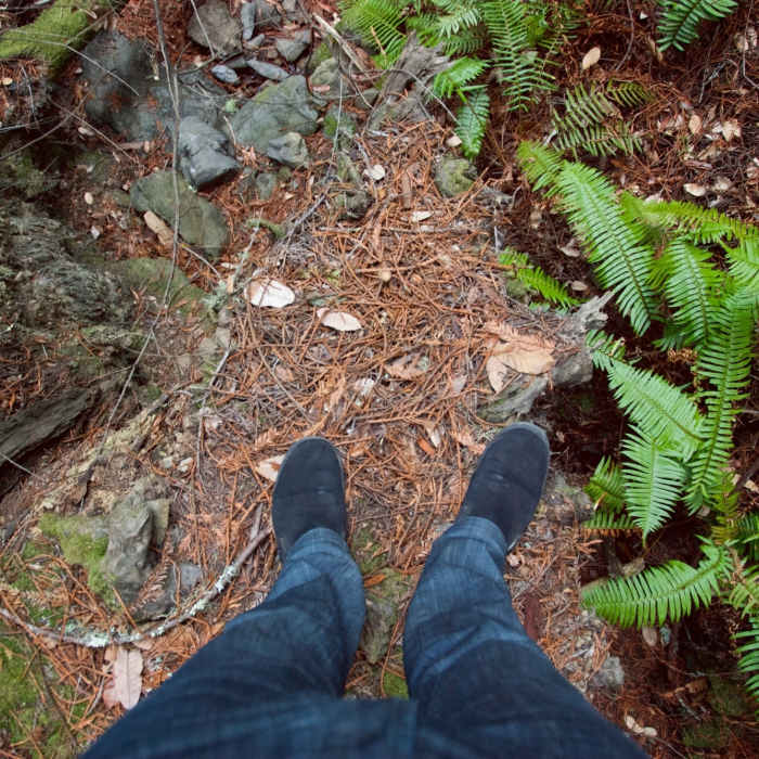 Near Ben Johnson Trail