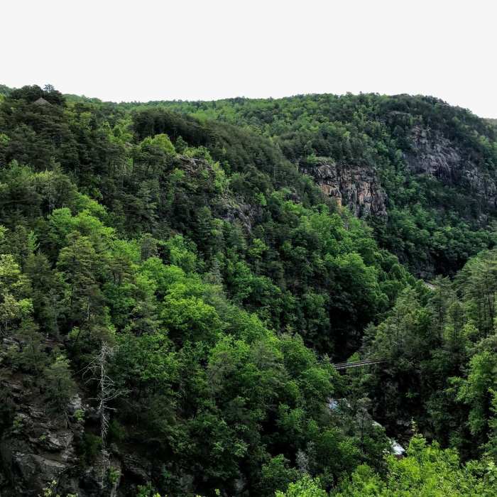 Near Hurricane Falls Trail