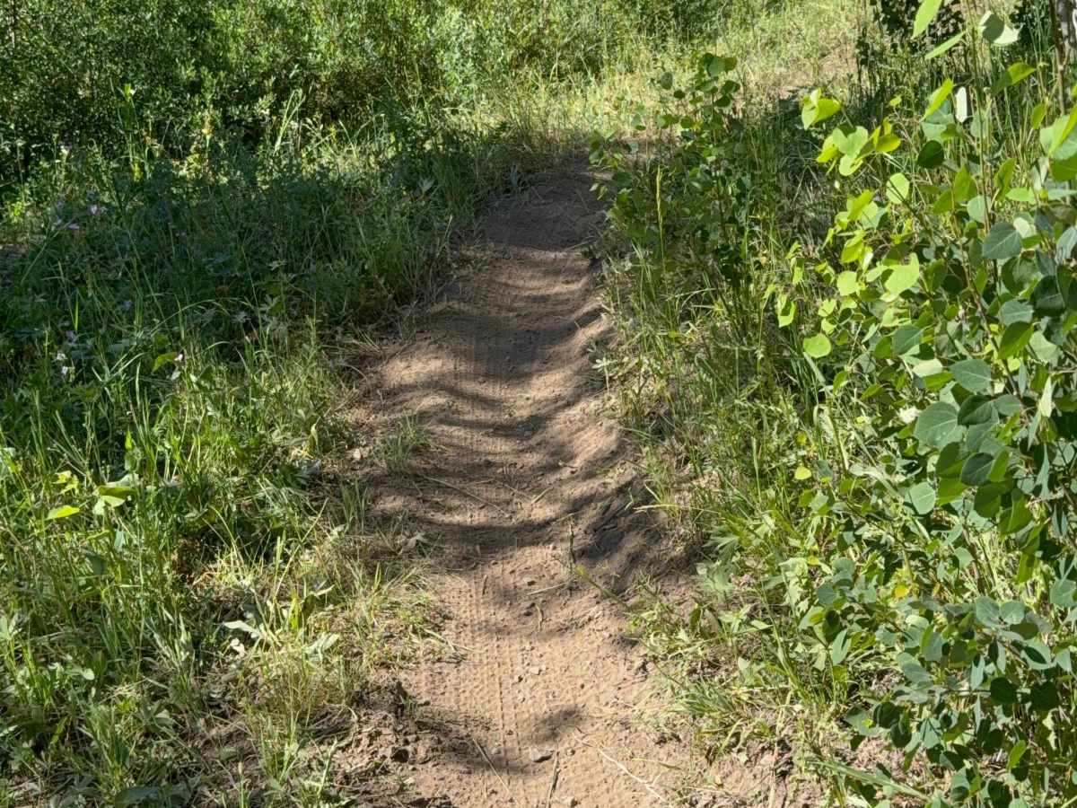 Canyon Creek North Fork - FS 227 photo 3