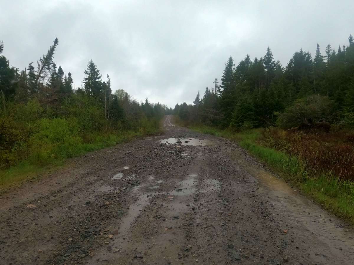 Upper Belmont Road photo 5