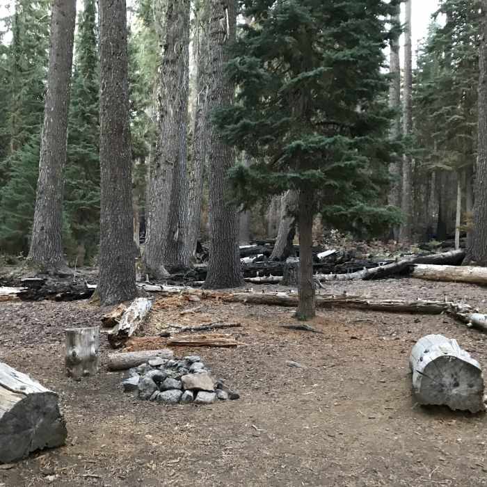 Near Stanshaw Trail
