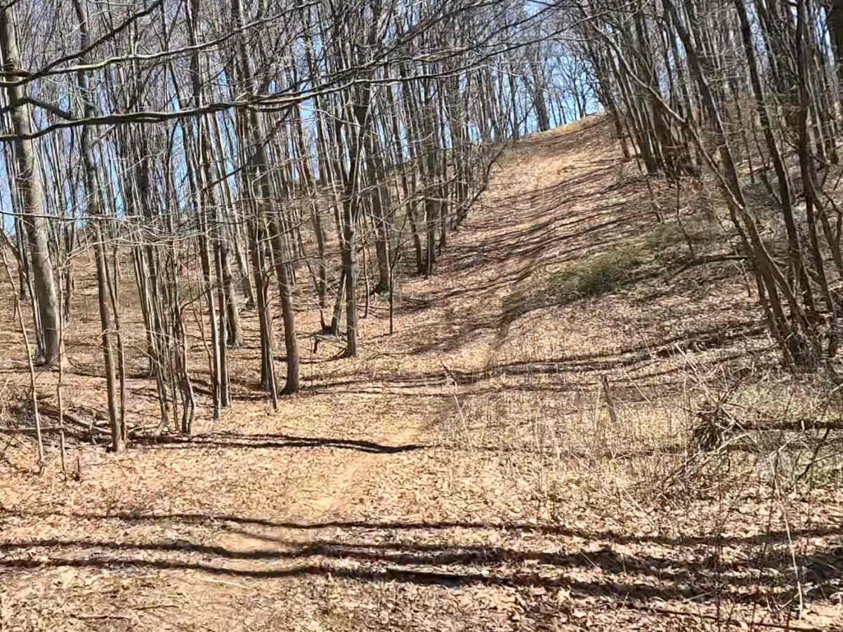W4A trail photo