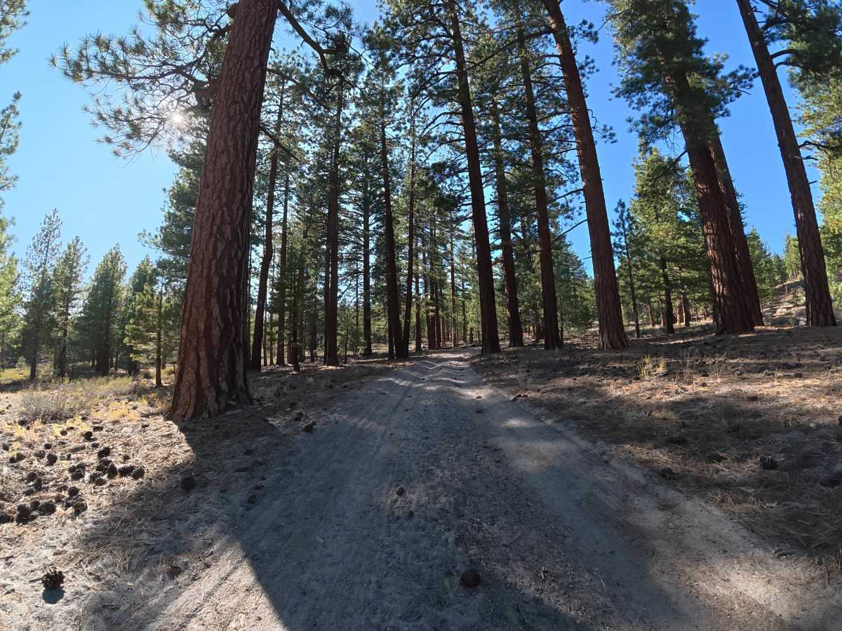 Big Springs Cutoff - FS 2S38 photo 3