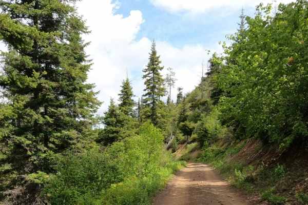 Iron Creek - Blewett Tie - NF9714-113