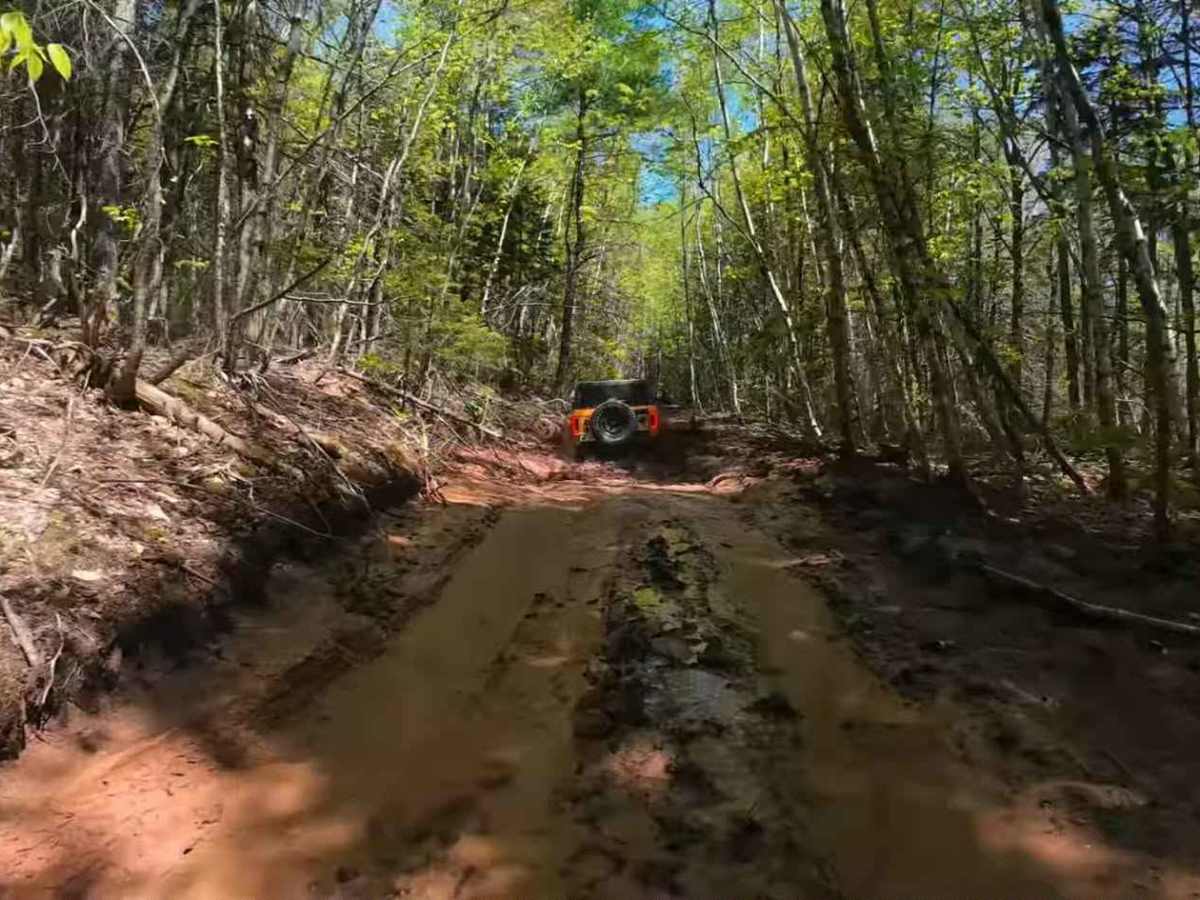 Pecks Creek Main Trail photo 5