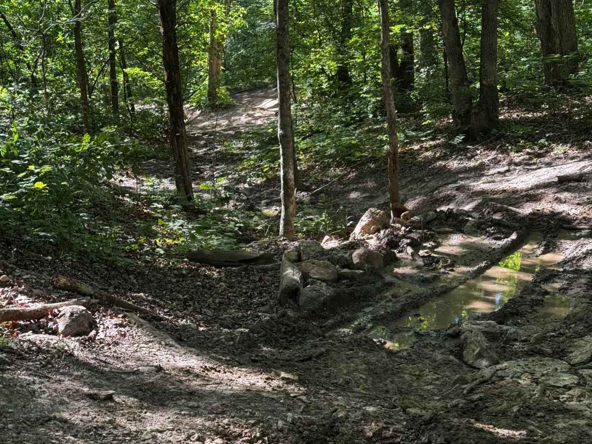 Inner Trail 15 photo 3