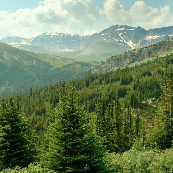 Near Poboktan Pass Trail