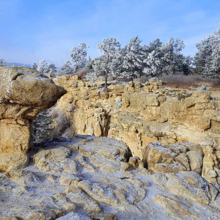 Near Spruce Mountain Trail