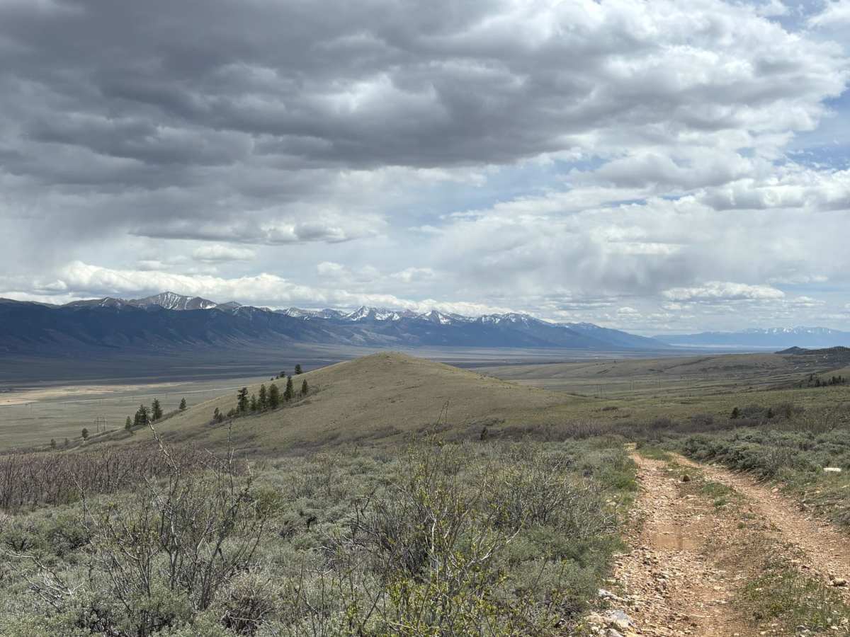 Wild Bill Gulch Road photo 4