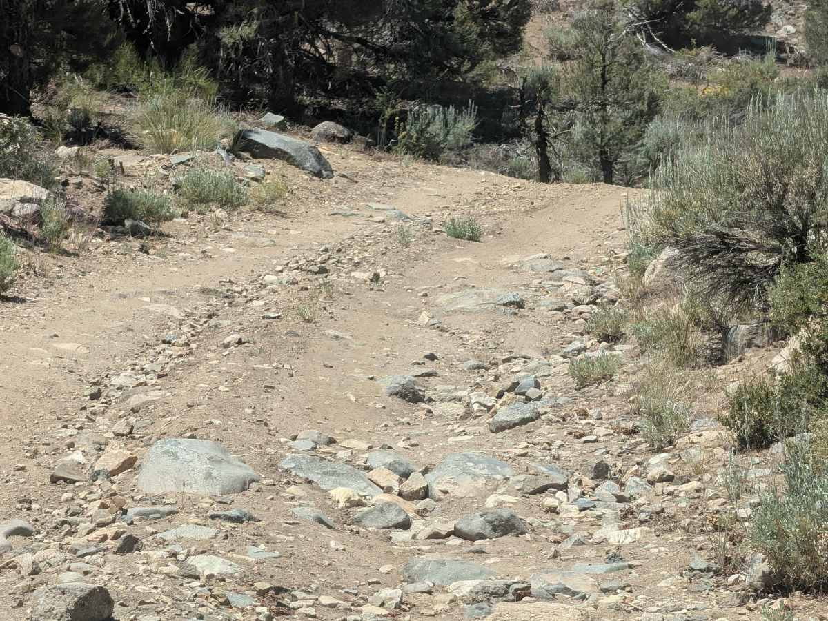 Deer Springs Road photo 4