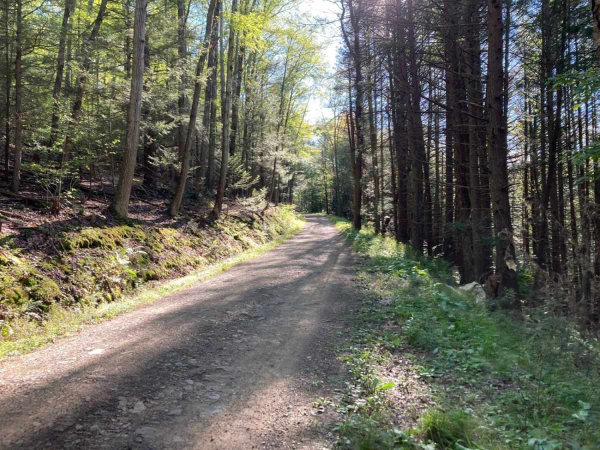 Green Hill Road photo 5