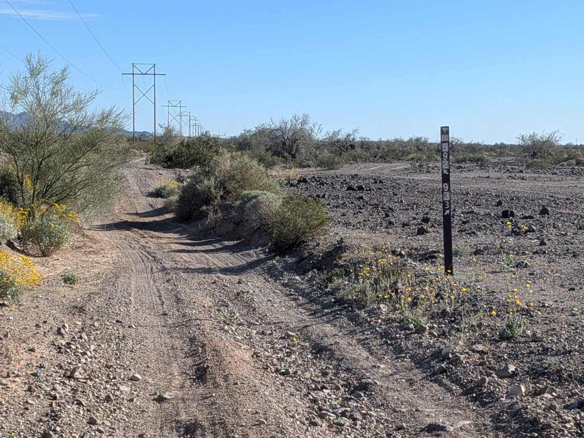 BLM 592 photo 5