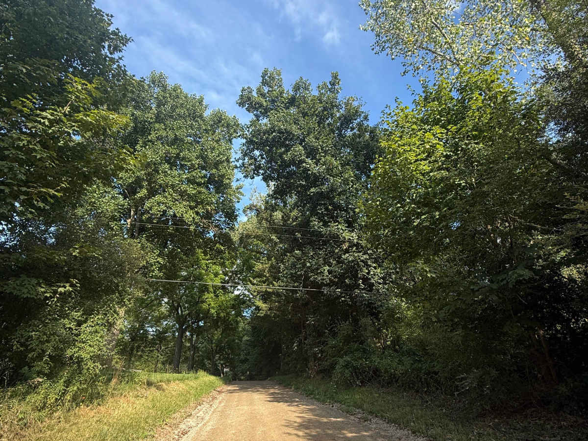 Doyle Trail photo 3
