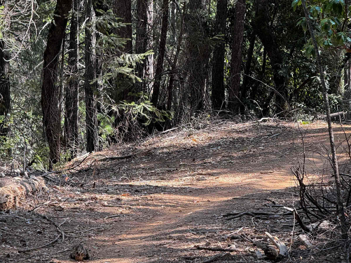 Trail 1-2 (11E36)   trail photo