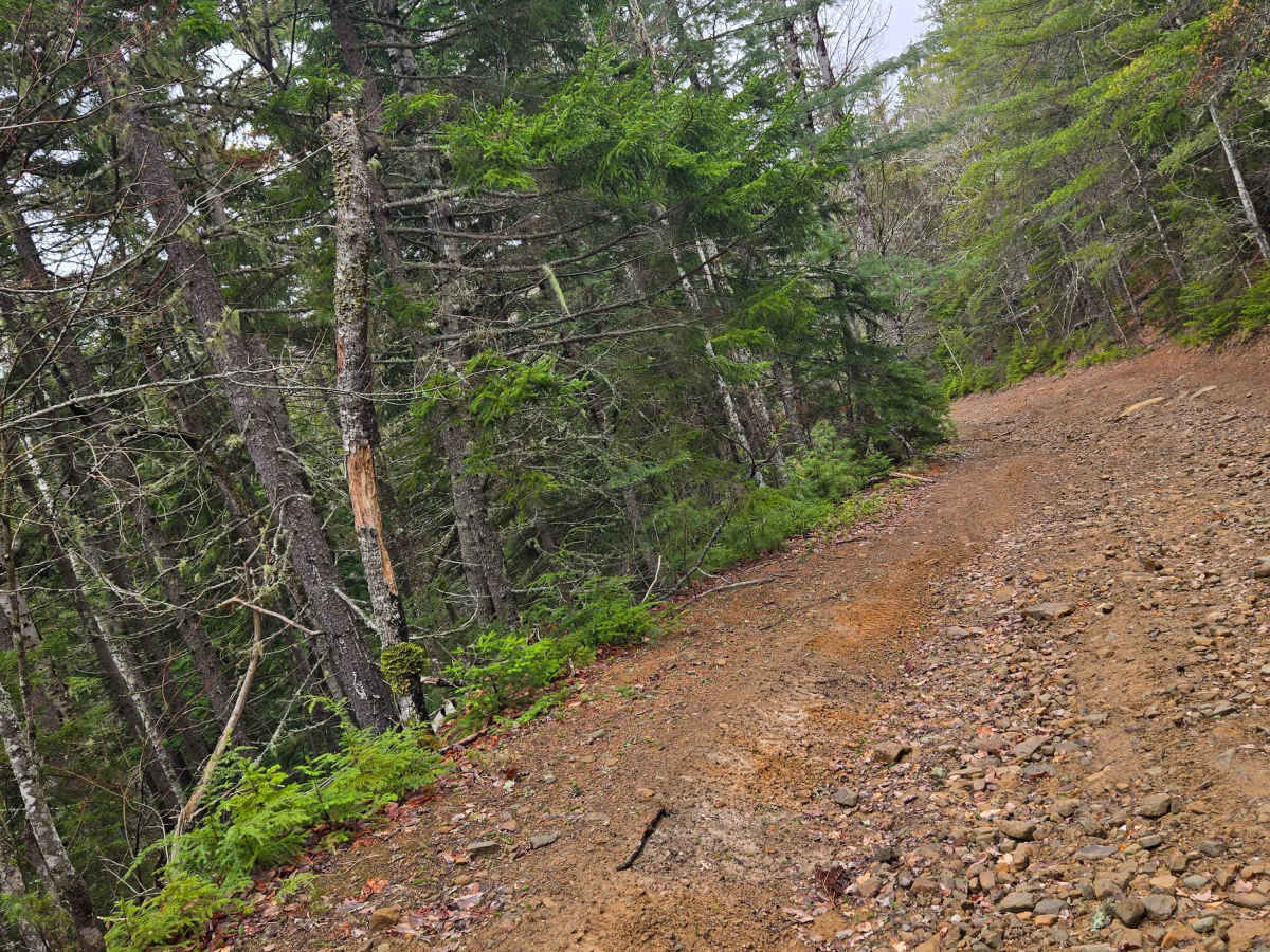 Hardscrabble Road trail photo