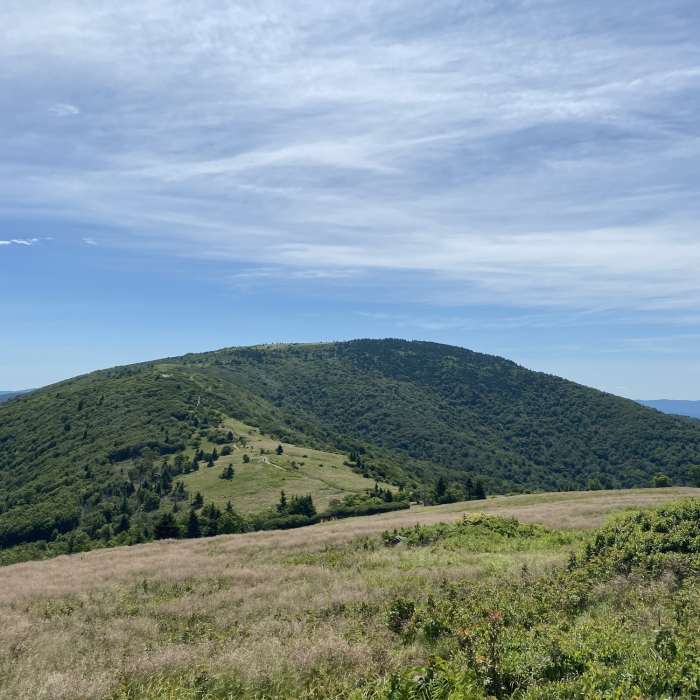 AT view to the west. Near AT: Carver's Gap to US19E